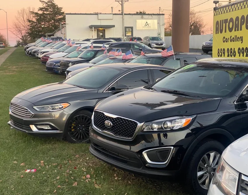 Autoapex Car Gallery, buy here pay here car dealer in Lexington, KY