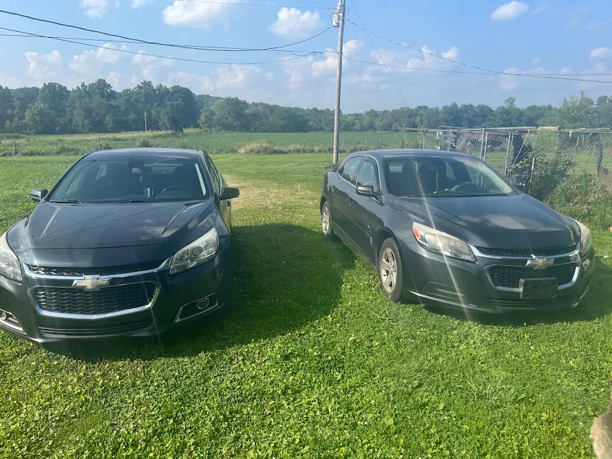 Buckeye Motor Car LLC, buy here pay here car dealer in Newark, OH