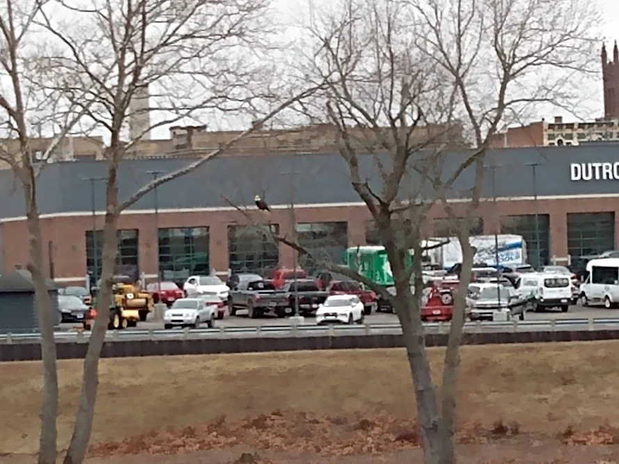 Dutro Ford Lincoln Nissan Inc. in Zanesville