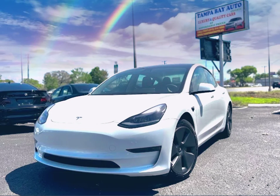Tampa Bay Auto in Tampa
