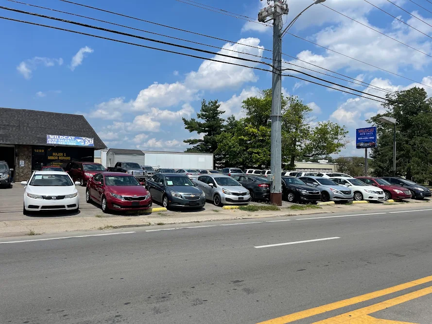 Wildcat Auto Sales LLC
