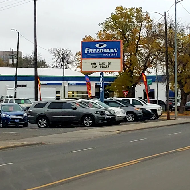 Freedman Motors