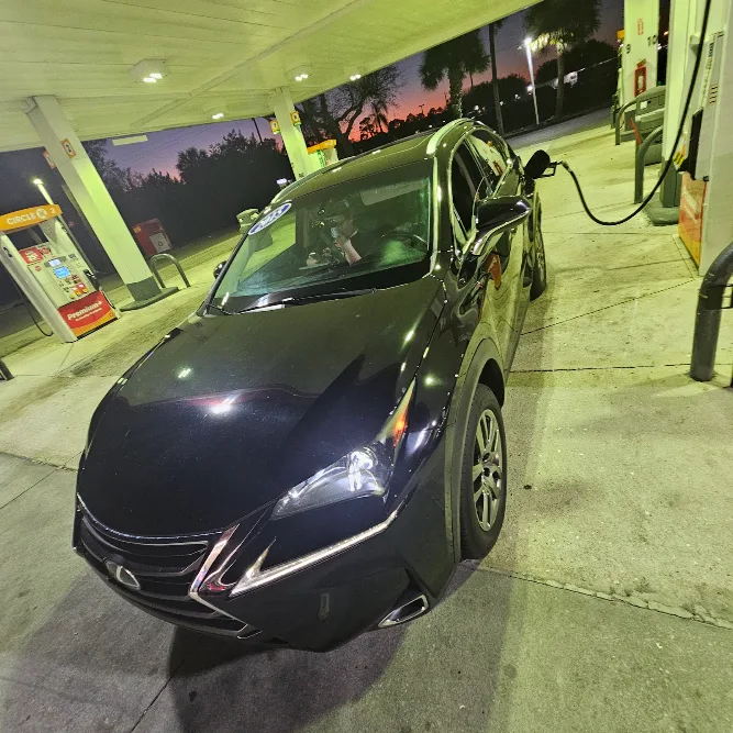 Tampa Auto Deals in Tampa