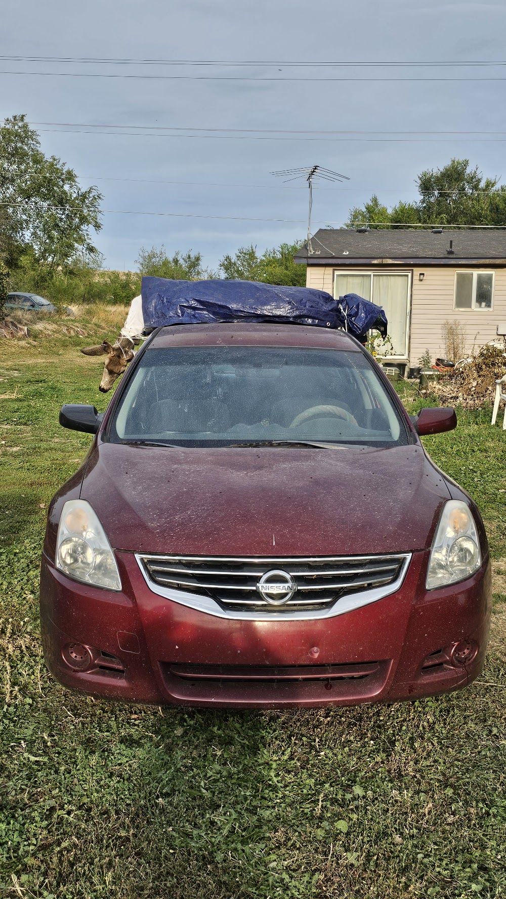 Canyon Auto Sales in Nampa