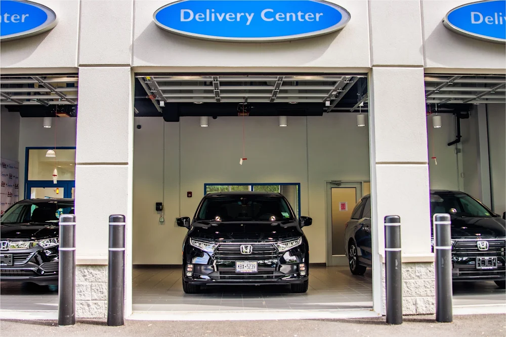 Lia Honda Albany