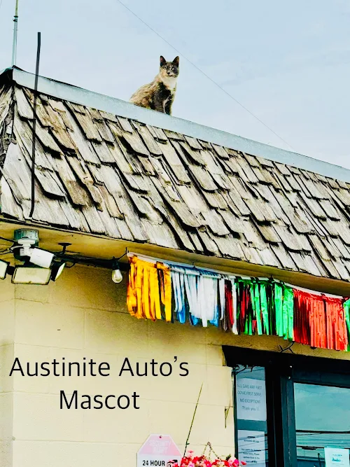 Austinite Auto Sales